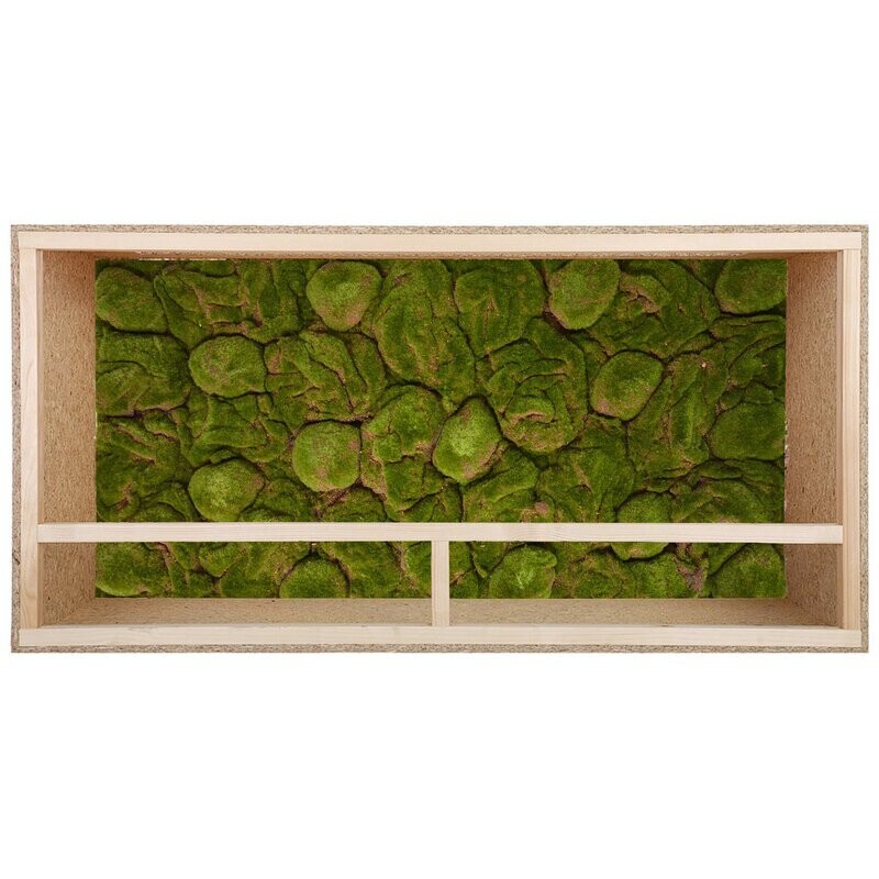 Terrarium Rückwand 120x60 cm Moos