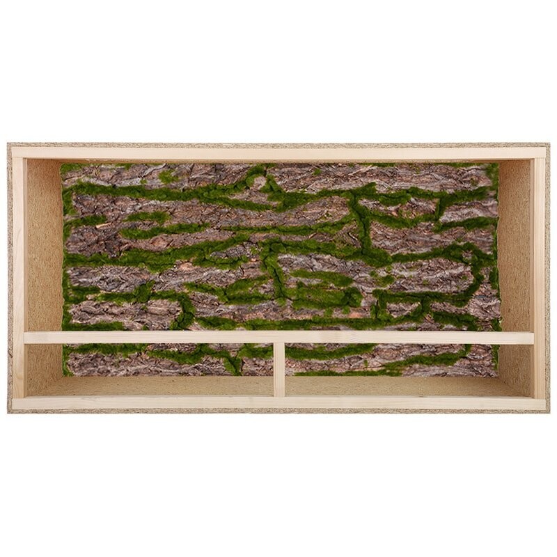 Terrarium Rückwand 120x60 cm Rinde