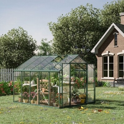 Gewächshaus 308 x 248 x 226 cm Aluminium Treibhaus mit Dachfenster Tür Pflanzenhaus mit Regal