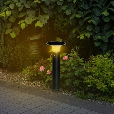 Gartenleuchte mit Solarpaneel, Schwarz 23,5 cm x 60 cm