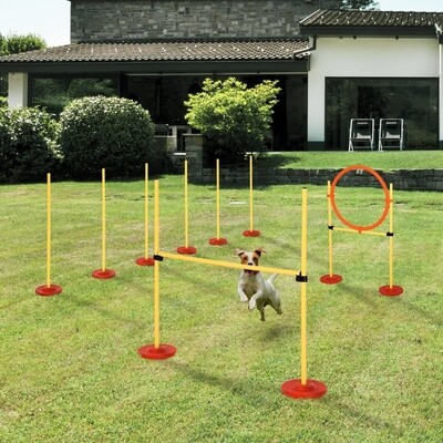 Agility Set Hunde 3-tlg. – Slalom, Hürden, Sprungring, Gelb