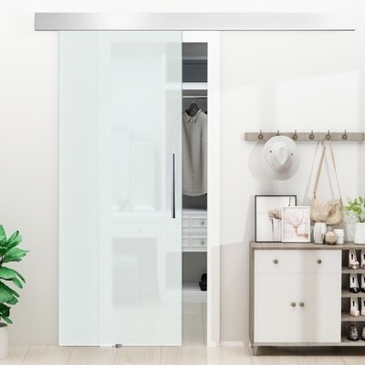 Glasschiebetür mit Griffstange einseitig satiniert 2050x900 mm