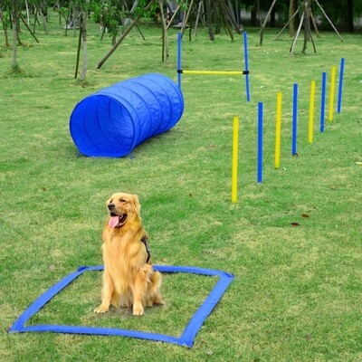 Agility-Set Hunde Slalom-Hürden-Tunnel – PE+Polyester, Blau/Gelb