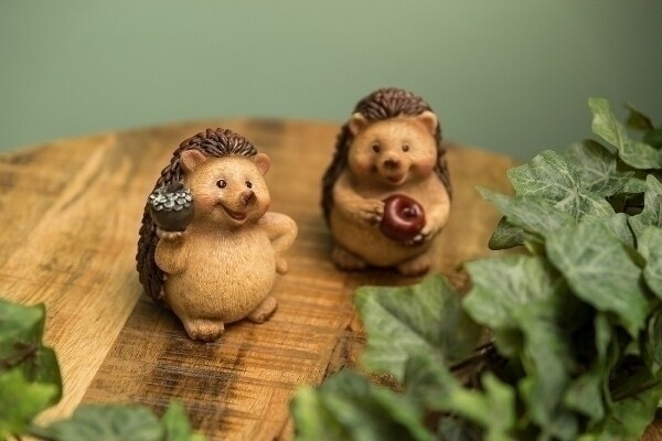 Comic Igel &#39;Eddie&#39; aus Polystone, Set