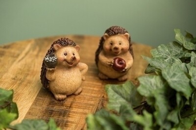 Comic Igel &#39;Eddie&#39; aus Polystone, Set