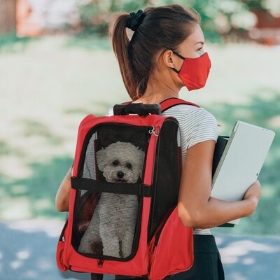 2 in 1 Hundetrolley Transporttasche Tragetasche Tiere Rucksack rot