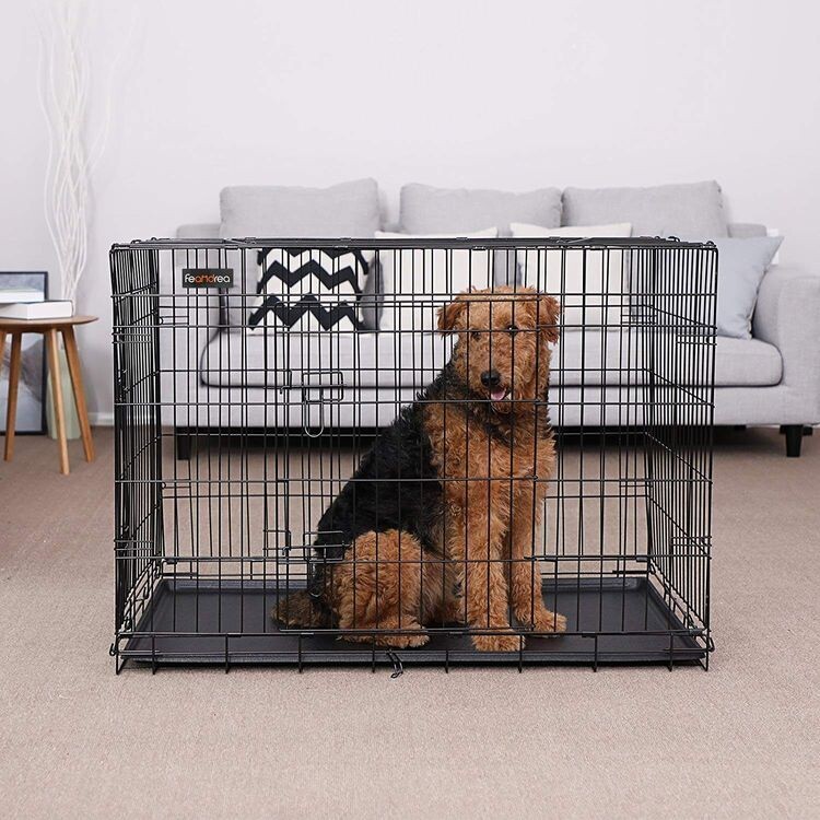 Transport-Hundekäfig XXL mit 2 Türen XXL 106 x 77,5 x 70 cm