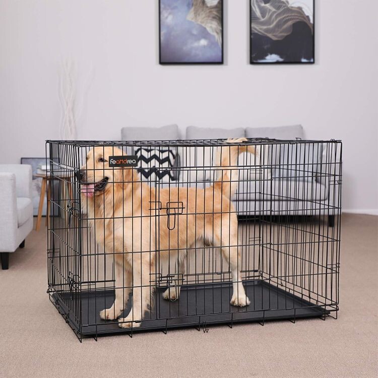Transport-Hundekäfig XXXL mit 2 Türen 122 x 81 x 76 cm