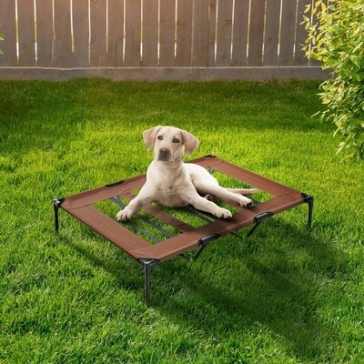 Hundebett Liegeplatz Haustierbett 122x92x23cm