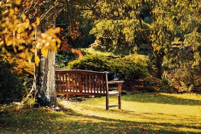 Garten &amp; Terrasse