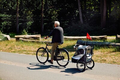 InnoPet Velo-Anhänger Hundebuggy Sporty Trailer schwarz/silbergrau, bis 28kg