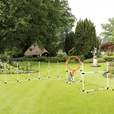 Hunde Agility Set 3-tlg. – Training, Tasche, Weiss/Gelb