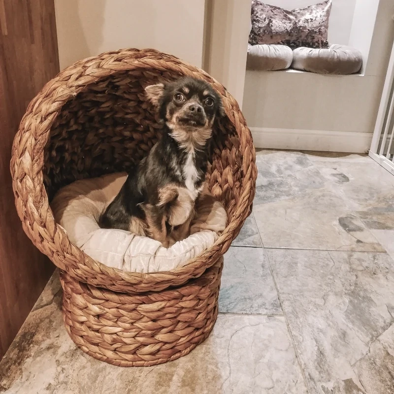 Katzenkorb Hundebett Rattan-Katzennest Katzenbett mit Kissen Haustierbett Braun