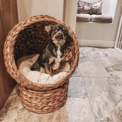 Katzenkorb Hundebett Rattan-Katzennest Katzenbett mit Kissen Haustierbett Braun