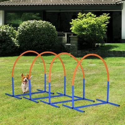 Agility-Set Hunde 4 Bögen – Einsteiger, Tragetasche, Blau/Orange