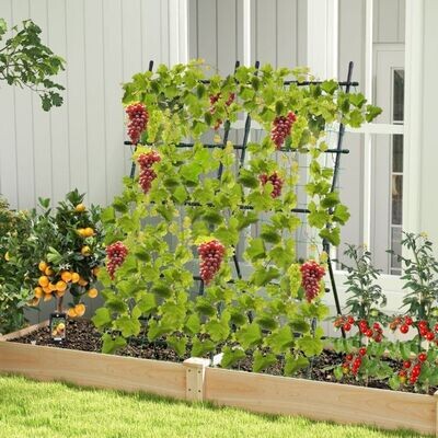 187 cm Hoher Garten-Trellis mit Netz für Gurken-Kletterpflanzen Vertikale Rankhilfe
