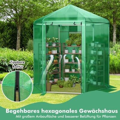 Begehbares Gewächshaus mit PE-Abdeckung & Metallrahmen Sechseckiges Treibhaus Grün