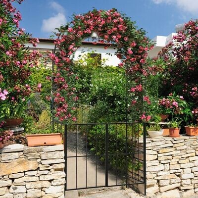 230 cm hoher Rosenbogen mit Tür aus Metall für Kletterpflanzen Gartenbogen