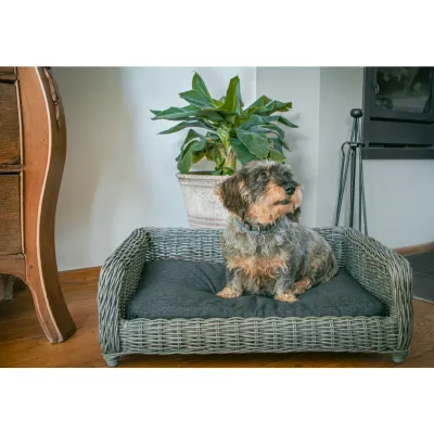 Let's Sleep Cozy Basket Weidenkorb für Hunde Anthrazit M-L-XL