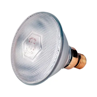 Wärmelampe Sparlampe 100 W - Weiss