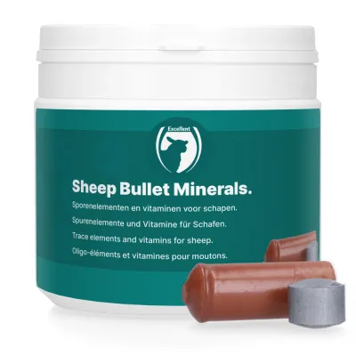 Schaf Sheep Bullet Mineralenboli 10 St.