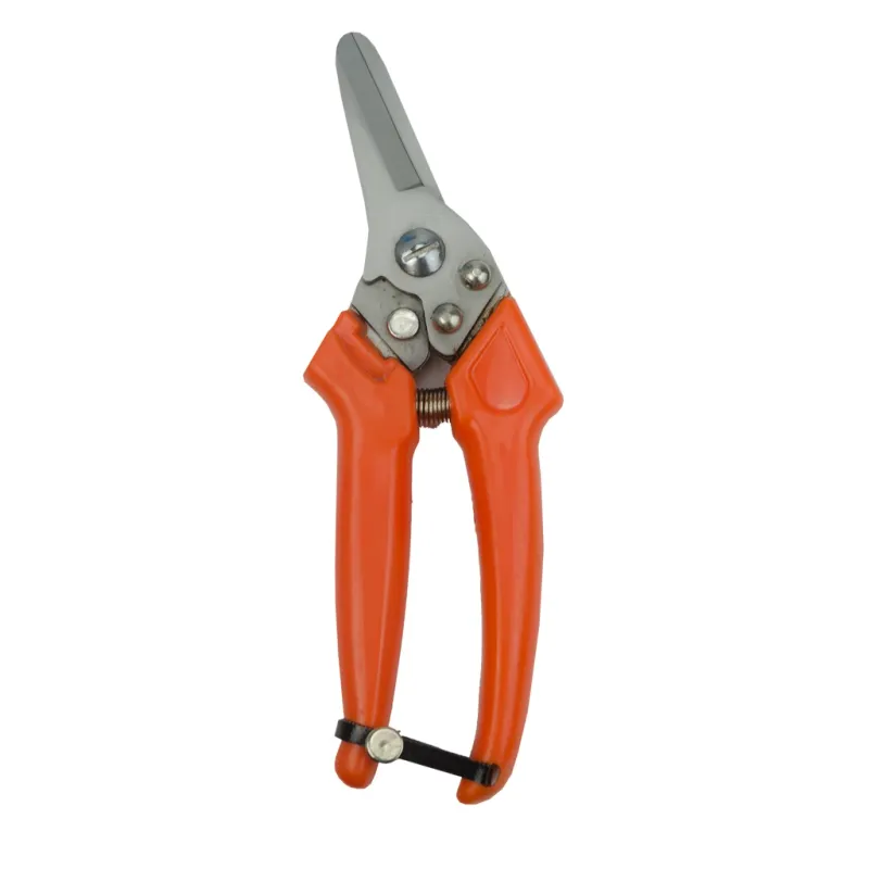 Klauenschere für Schafe Claw Clipper Sheep Dutch – Hochwertiger Huf- und Klauenschneider