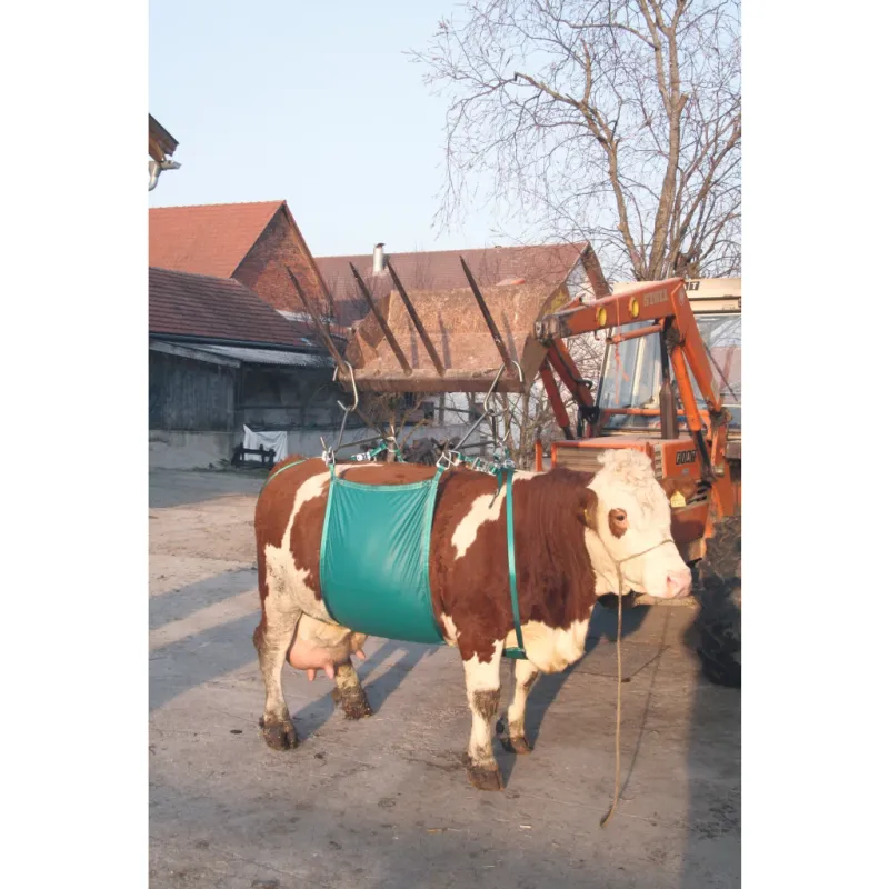 Kuhhebevorrichtung bis 1000 kg – Kuh-Hebelift – Für normales und schweres Vieh