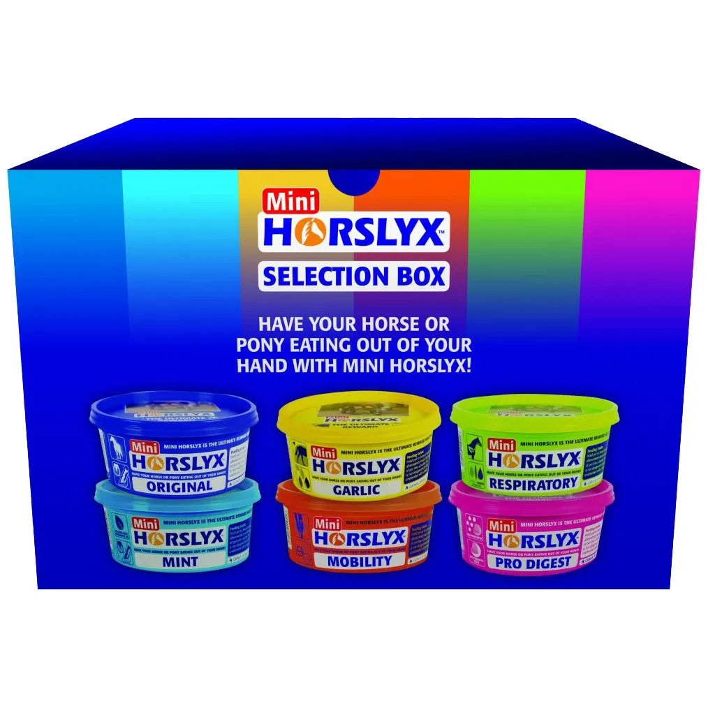 Horslyx Pferde-Leckstein Mini Selection Box 6 x 650 g - Auswahl von 6 Mini-Lecksteinen für Pferde.