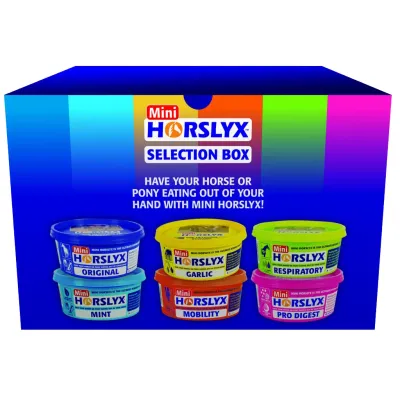 Horslyx Pferde-Leckstein Mini Selection Box 6 x 650 g - Auswahl von 6 Mini-Lecksteinen für Pferde.
