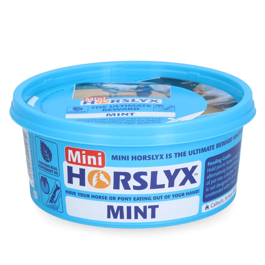 Horslyx Mini Mint Original - 650 Gramm - Minze-Leckstein für Pferde