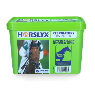 Horslyx Atemwegs-Balancer für Pferde 5 Kilo Leckstein