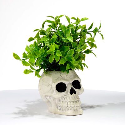 Totenkopf geformter Blumentopf für den Garten