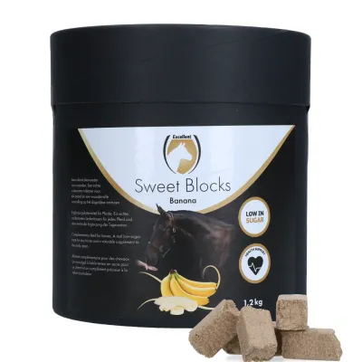 Excellent Sweet Banana Blocks - Pferdesnack Banane - 1.2 kg