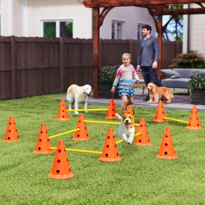 Agility Set Hunde 6-teilig – Steckhürden, Kegel, Tragetasche