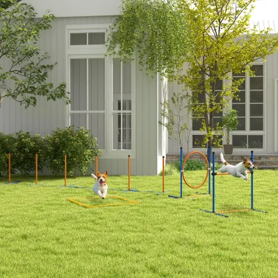 Hunde-Agility-Set – Reifen, Hürde, Slalom, 352x66x69cm, Blau/Rot