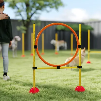 Agility Set Hunde 3-tlg. – Hürde, Reifen, Slalom, befüllbar