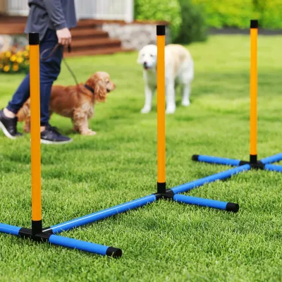 Agility Set Hunde 7-tlg. – Hürde, Reifen, Slalom, Pause-Box