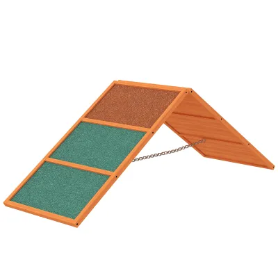 Agility Hunderampe, klappbar, bis 40 kg, 173 x 59 x 66 cm, Orange/Grün