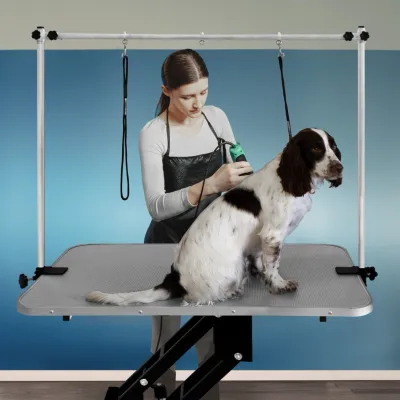 Hydraulischer Trimmtisch Pflegetisch Grooming Table Höhenverstellbar für grössere Haustiere grau