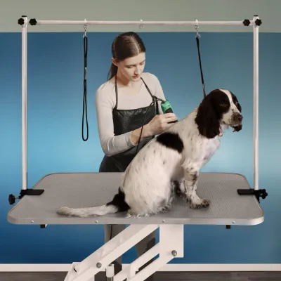 Hydraulischer Trimmtisch Pflegetisch Grooming Table Höhenverstellbar für grössere Haustiere weiss-grau