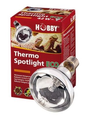 HOBBY Thermo Spotlight Eco 28 W Reptilienlampe Wärmelampe