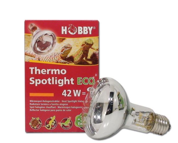 HOBBY Thermo Spotlight eco 42 W  Reptilienlampe Wärmelampe