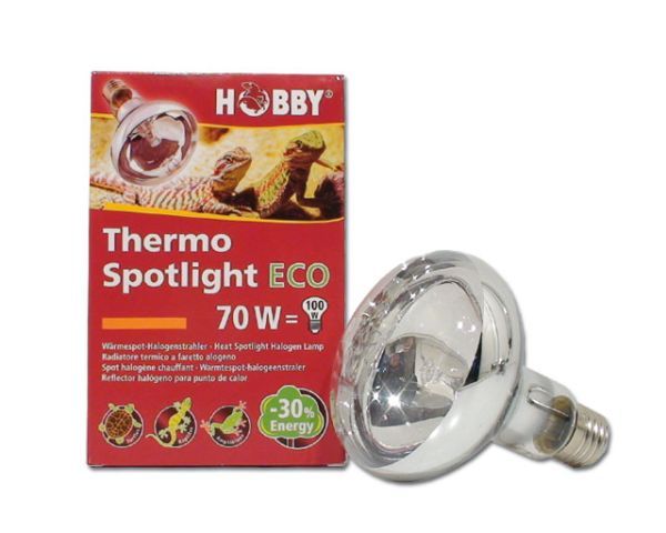 HOBBY Thermo Spotlight eco 70 W Reptilienlampe Wärmelampe