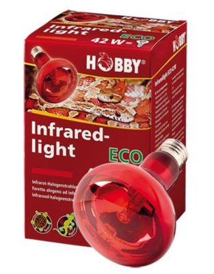 HOBBY Infrarot Eco 42 W Reptilienlampe Wärmelampe