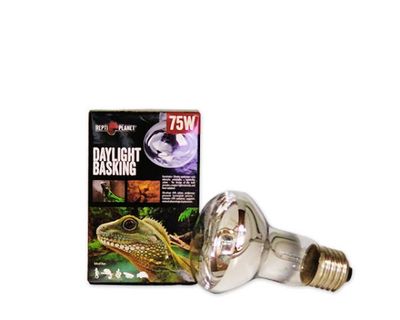 Repti-Planet Daylight Basking Spot 75W Terrarium- &amp; Reptilienlampe