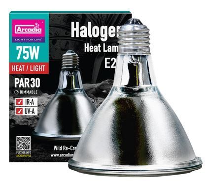 Arcadia Halogen Basking Spot 75W Terrarien- &amp; Reptilienlampe