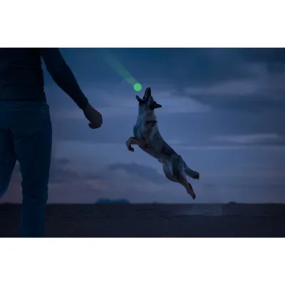 Glow Fetch & Play Ball – Leuchtendes Hundespielzeug