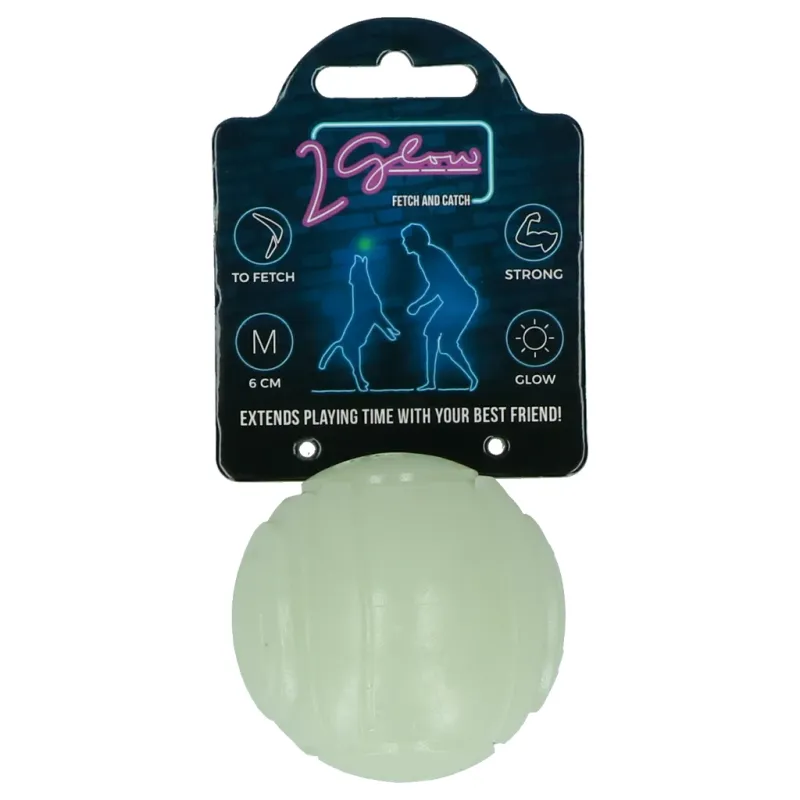 Glow Fetch &amp; Play Ball – Leuchtendes Hundespielzeug
