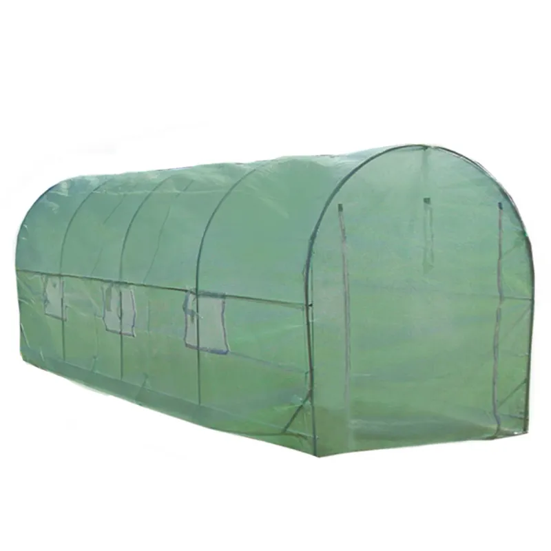 Polytunnel Gewächshaus 6 x 3 m, 25 mm Rahmen, mit PE-Abdeckung und Fenstern