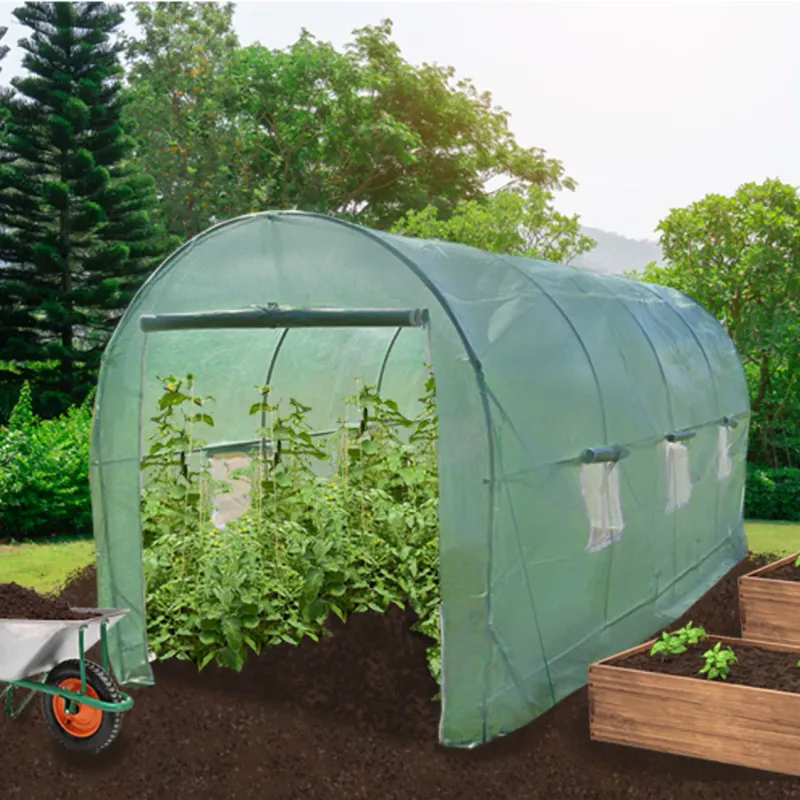 Polytunnel Gewächshaus 6 x 3 m, 25 mm Rahmen, mit PE-Abdeckung und Fenstern